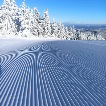 Villa Dom Z Widokiem Na Gory Stolowe I Duzym Ogrodem Kłodzko