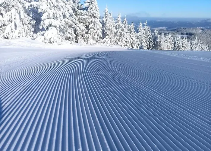 Βίλα Dom Z Widokiem Na Gory Stolowe I Duzym Ogrodem Kłodzko